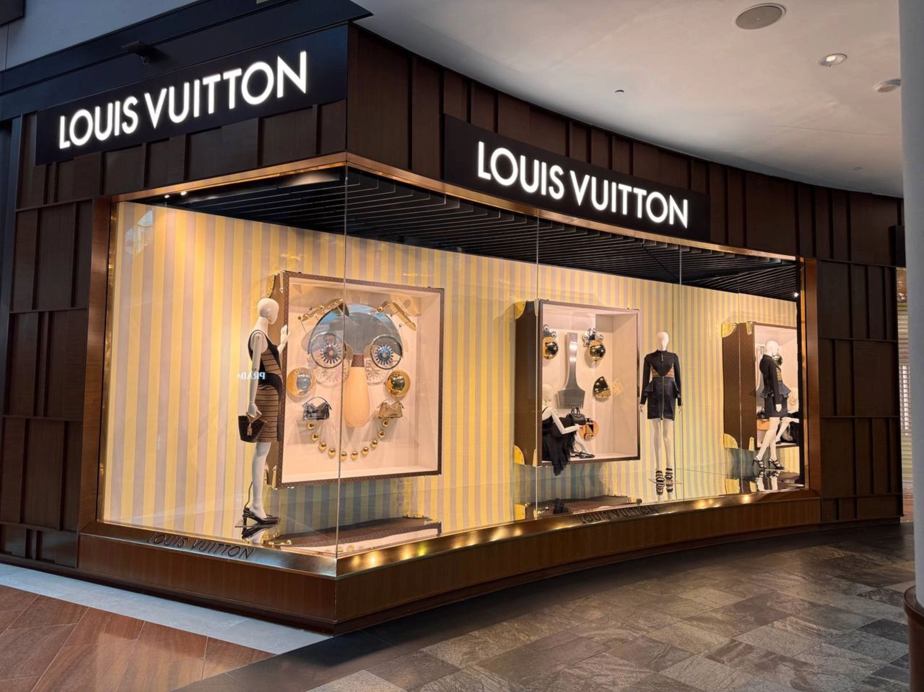 Vision Display Window Display